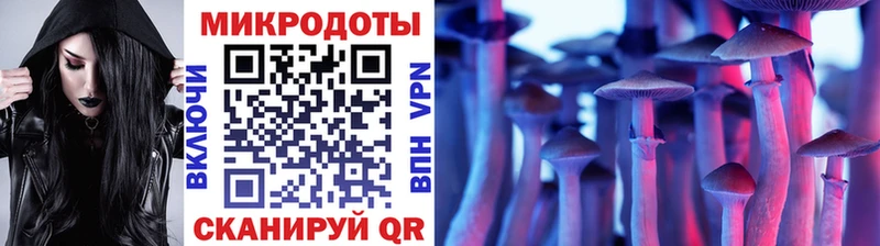 Галлюциногенные грибы Psilocybine cubensis  купить наркотики цена  Ржев 